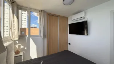Apartment in Racó de l'Oix photo 6