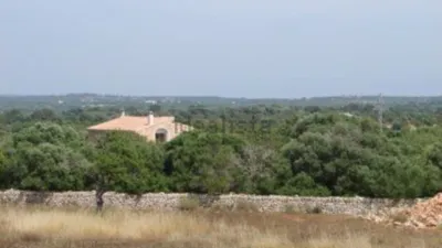 Rustic Finca in Campos photo 22