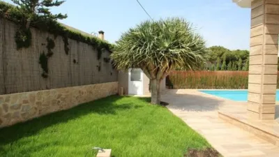 House in Cabo Roig-La Zenia-La Regia photo 25