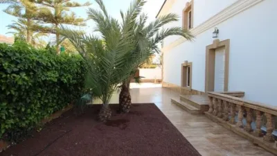 House in Cabo Roig-La Zenia-La Regia photo 9