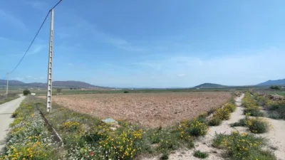 Rustic Finca in Yecla photo 10