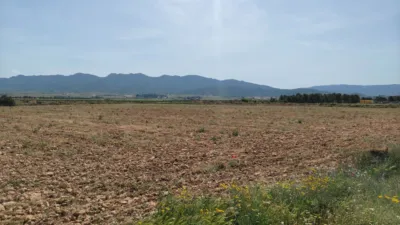 Rustic Finca in Yecla photo 4