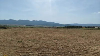 Rustic Finca in Yecla photo 5