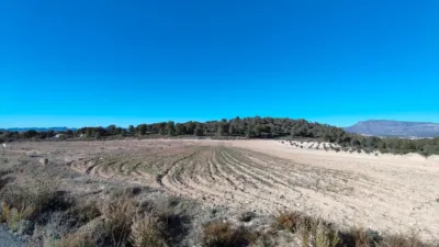 Rustic Finca in Jumilla photo 3
