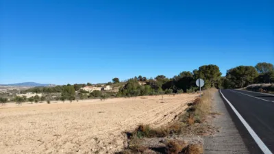 Rustic Finca in Jumilla photo 6