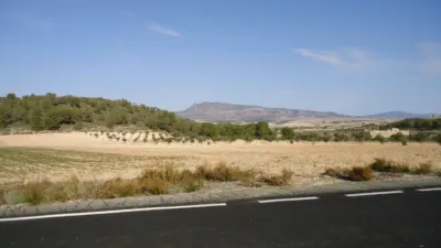 Rustic Finca in Jumilla photo 7