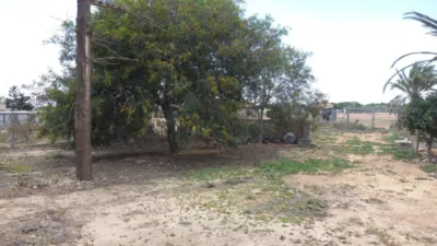 Finca rústica en Torrellano-Valverde-Parc Empresarial photo 10
