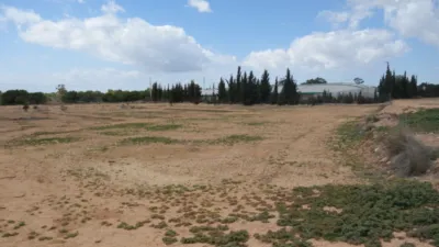 Finca rústica en Torrellano-Valverde-Parc Empresarial photo 14