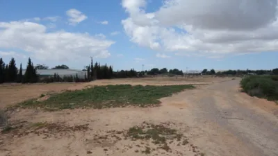 Finca rústica en Torrellano-Valverde-Parc Empresarial photo 17