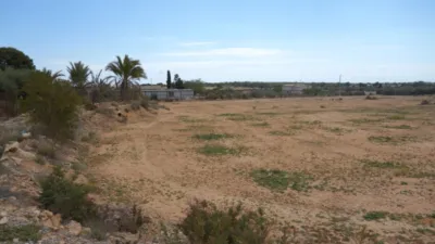 Rustic Finca in Torrellano-Valverde-Parc Empresarial photo 2