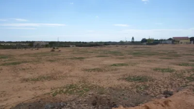Rustic Finca in Torrellano-Valverde-Parc Empresarial photo 3