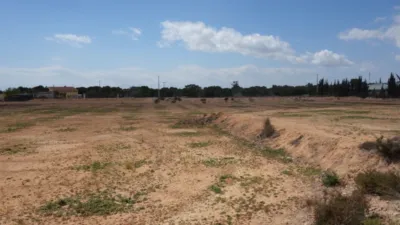 Rustic Finca in Torrellano-Valverde-Parc Empresarial photo 4