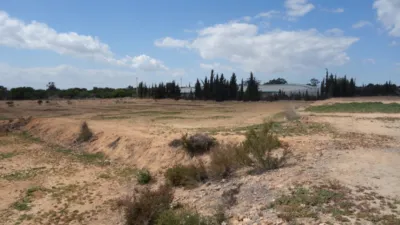 Rustic Finca in Torrellano-Valverde-Parc Empresarial photo 5