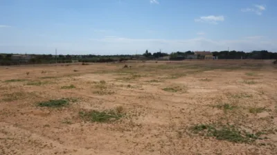 Finca rústica en Torrellano-Valverde-Parc Empresarial photo 6