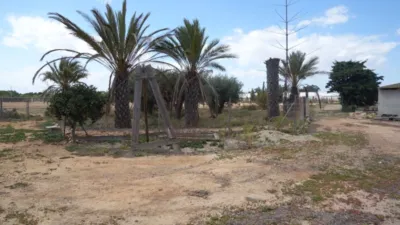 Finca rústica en Torrellano-Valverde-Parc Empresarial photo 9
