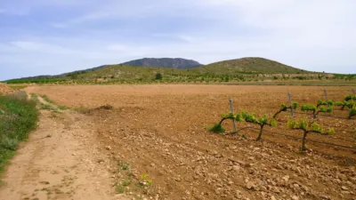 Rustic farm in El Pinós - Pinoso photo 2