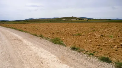 Rustic farm in El Pinós - Pinoso photo 3