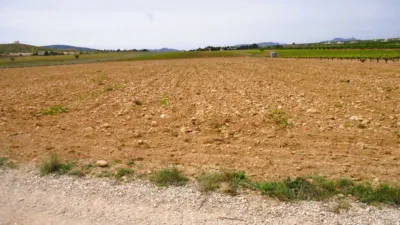 Rustic farm in El Pinós - Pinoso photo 4