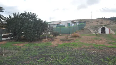 Rustic Finca in Pájara photo 18