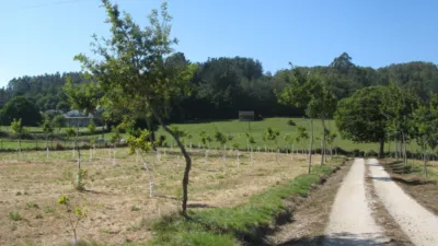 Chalet in A Ramalleira (Ribadeume) photo 2