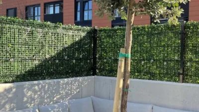 Apartment in Loredo photo 11