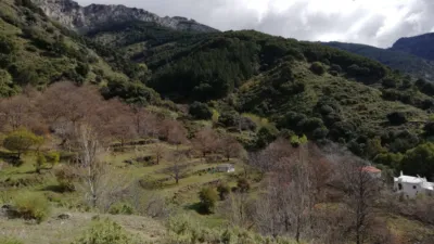 Rustic finca on Calle Chaparra, No. 4 photo 10