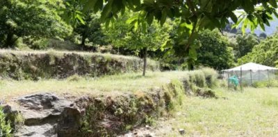 Rustic finca on Calle Chaparra, No. 4 photo 12