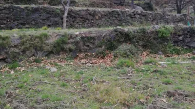 Rustic finca on Calle Chaparra, No. 4 photo 13