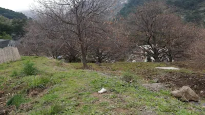 Rustic finca on Calle Chaparra, No. 4 photo 16