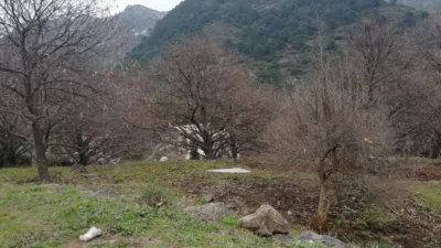 Rustic finca on Calle Chaparra, No. 4 photo 18