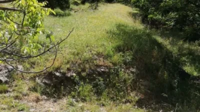 Rustic finca on Calle Chaparra, No. 4 photo 19