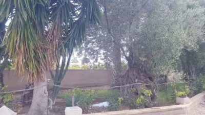 Terreno en venta en Centro - Vista 3