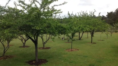 Terreno en venta en Aldea de Arriba (Cecebre) - Vista 5