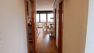 Apartment in Racó de l'Oix photo 9
