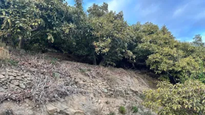 Finca rústica en venta en Calle Minasierra Alta, Número 1, Zona Ronda de Poniente-Avenidas Salobreña-Enrique Martín Cuevas (Motril) de 240.000 €