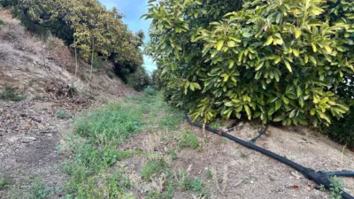 Finca rústica en venta en Calle Minasierra Alta, Número 1, Zona Ronda de Poniente-Avenidas Salobreña-Enrique Martín Cuevas (Motril) de 240.000 €