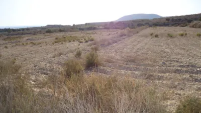 Rustic Finca in Abanilla photo 2