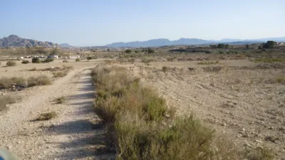 Rustic Finca in Abanilla photo 3