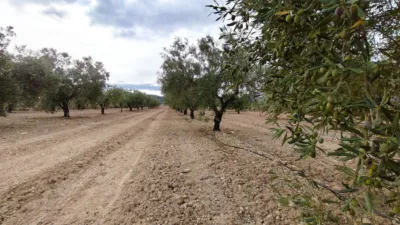 Finca rústica en Casa Los Molinos photo 5