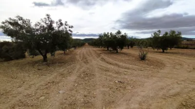 Finca rústica en Casa Los Molinos photo 6