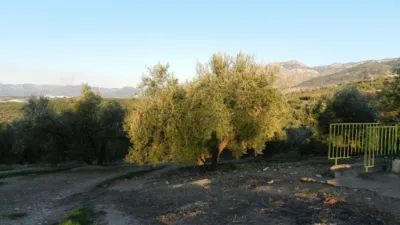 Finca rústica en Villanueva de La Reina photo 5