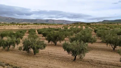 Finca rústica en Casa Los Molinos photo 3