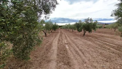 Finca rústica en Casa Los Molinos photo 5