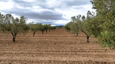 Finca rústica en Casa Los Molinos photo 9
