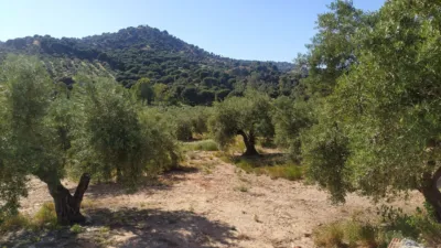Finca rústica en La Quintería photo 4