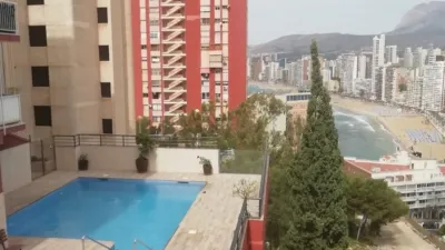 Pis – Benidorm - Vista 3