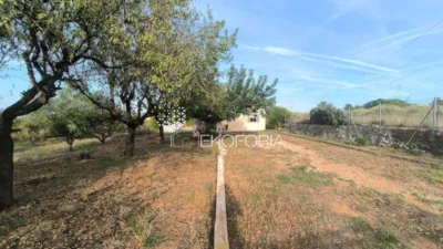 Chalet in Cheste photo 41