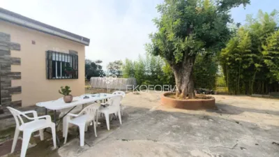 Chalet in Cheste photo 7