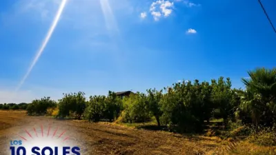 Rustic finca in Orihuela Pedanías photo 5
