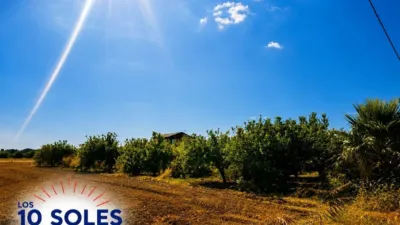 Rustic finca in Orihuela Pedanías photo 6